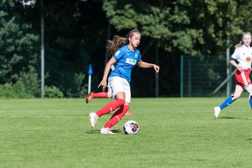 Bild 383 - wBJ Hamburger SV - Holstein Kiel : Ergebnis: 2:0